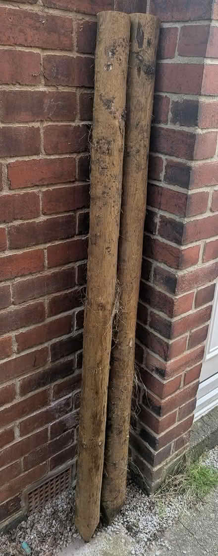 Photo of free 2x agricultural fence posts (Crookes (S10)) #1