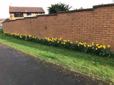 Photo of Garden Bench (Gleneagles area, Wboro NN8) #1
