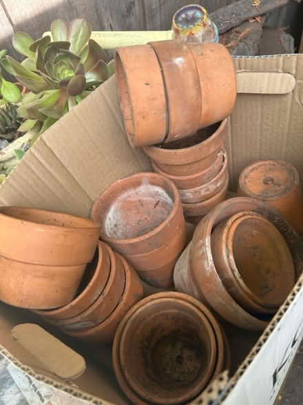 Photo of free Clay pots (Park Blvd) #1