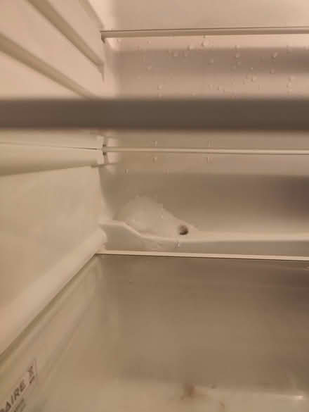 Photo of free Fridge (Abbey Wood SE2) #3