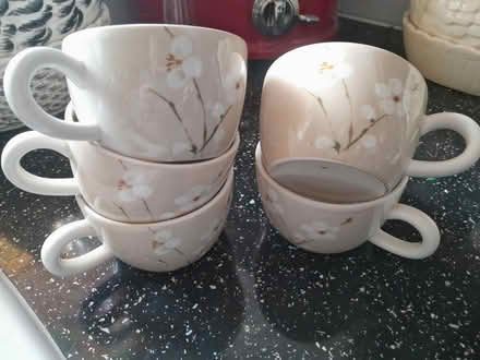 Photo of free Coffee cups (Kingsthorpe) #1