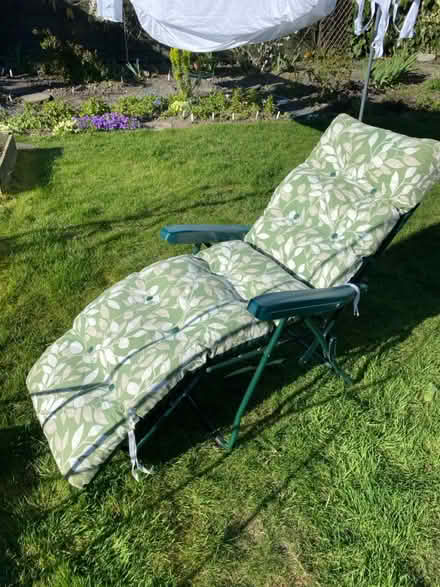 Photo of free Two sun loungers with cushions (Wantage town centre) #1