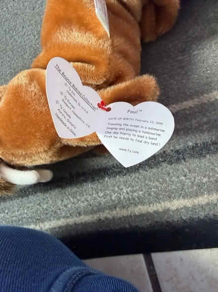 Photo of free TY Wakrus (Westbury Wilts BA13) #3