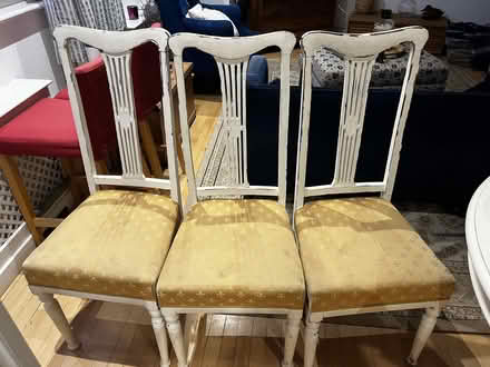 Photo of free Dining chairs (Barnes SW13) #1