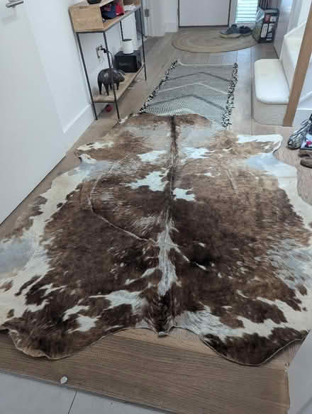 Photo of free Cowhide (Petersfield Ward CB1) #2