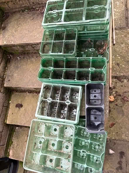 Photo of free Seed trays (Penrith CA11) #1