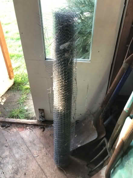 Photo of free Chicken wire (New Bilton CV22) #1