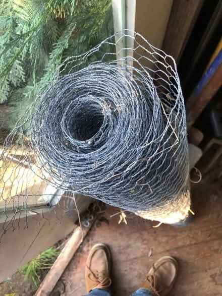 Photo of free Chicken wire (New Bilton CV22) #2