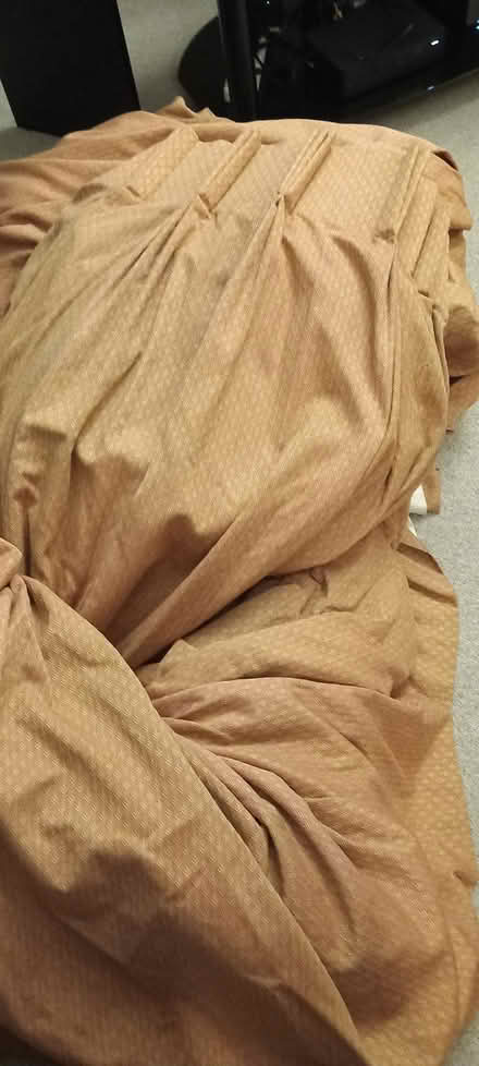 Photo of free Large curtains (Aigburth L17) #1