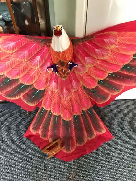 Photo of free Fantastic Bird of Prey Kite (Brotton TS12) #2