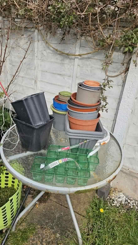 Photo of free Numerous Plant pots (Merridale, WV3) #1