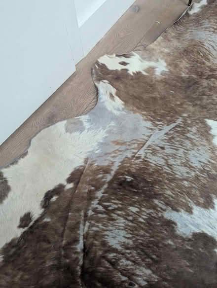 Photo of free Cowhide (Petersfield Ward CB1) #1