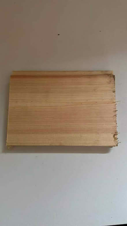 Photo of free Sedge & Hawthorn plants; cladding (Southend-On-Sea, SS2) #3