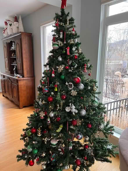 Photo of free Christmas tree (Fort Sheridan) #1