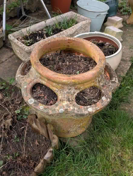 Photo of free Strawberry planters x2 (Winslow MK18) #1