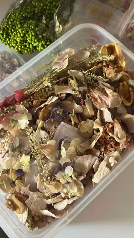 Photo of free Real dried flowers lot (AL4) #2