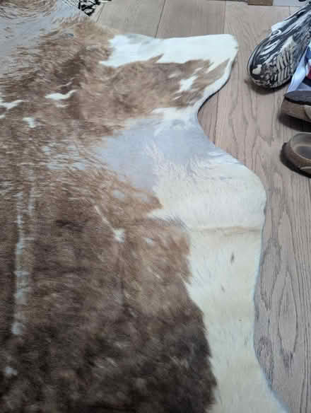 Photo of free Cowhide (Petersfield Ward CB1) #3