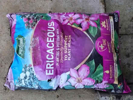 Photo of free 50L bag of soil (Rafborough GU14) #1