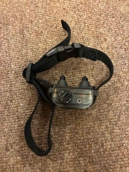 Photo of free Petsafe dog bark collar (Barnard's Green WR14) #1