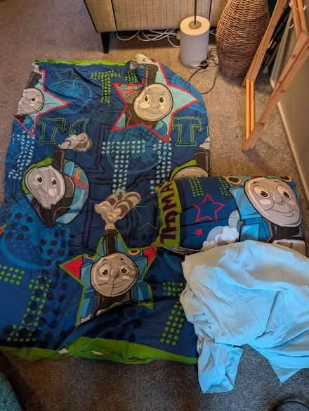 Photo of free Thomas Duvet single bed set and pillow (Newhaven BN9) #1