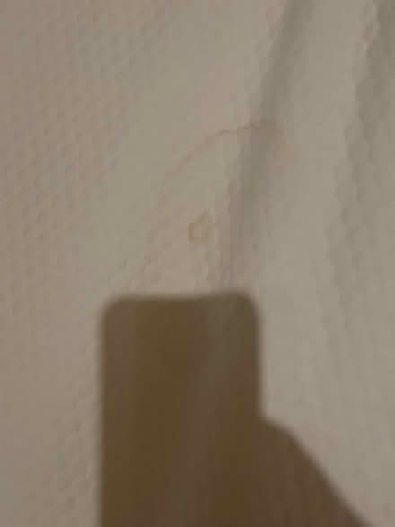 Photo of free Eve Sleep foam topper King size (SE10) #2