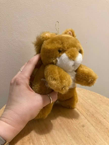 Photo of free Small toy squirrel (Heage DE56) #1