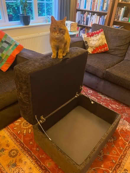 Photo of free 2 sofas & a footstool (Maidenhead SL6) #4