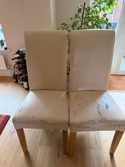 Photo of free Dinning chairs x 6 (Epsom) #2