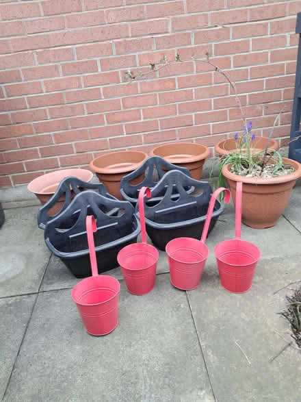 Photo of free Planters and Loganberry plant (Kimberley NG16) #2