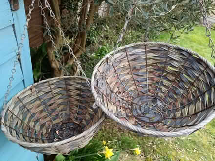 Photo of free 2 X rush effect hanging baskets (Leigh Beck SS8) #2