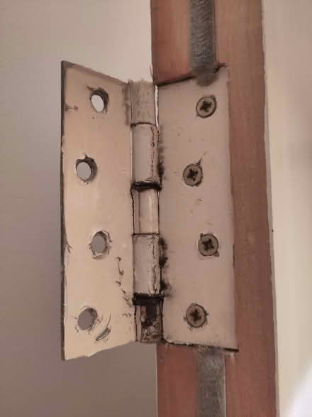 Photo of free Front door (Enfield EN2) #4