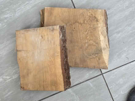 Photo of free Oak (Chester CH1) #1