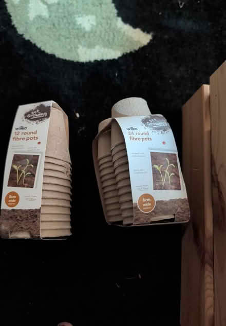 Photo of free Fibre pots for growing seed (Hertford SG13) #1
