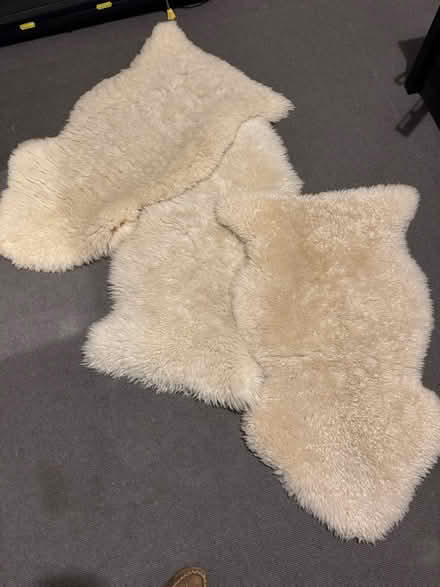 Photo of free 3 shearling rugs (SW11 Battersea by park) #1