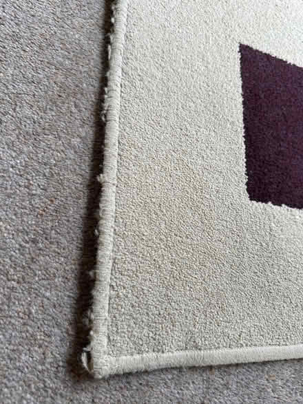 Photo of free Hallway rug (Kenilworth Road DE5) #3