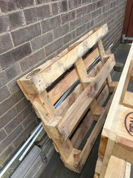 Photo of free Pallets x 2 (LE6 Groby Leicester) #3