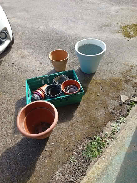 Photo of free For garden (Aylesbury Vale HP19) #3