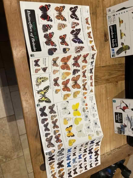 Photo of free Laminated fold out birds, bats and butterflies pamphlets (Dursley GL11) #4