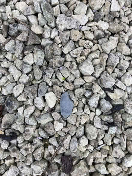 Photo of free Grey stone chippings (CT5) #2