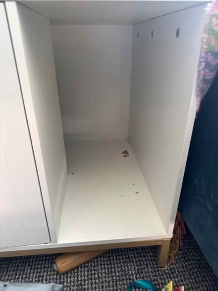 Photo of free Cat litter box (Weymouth DT4) #3