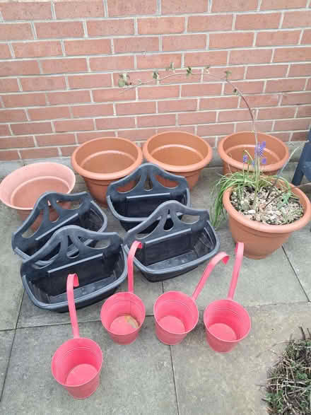 Photo of free Planters and Loganberry plant (Kimberley NG16) #1