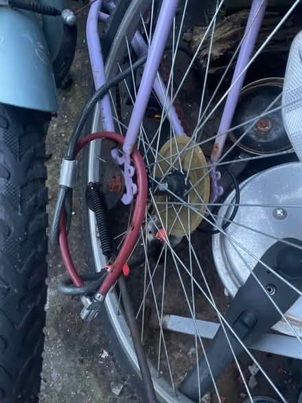 Photo of free Very knackered bikes (Livesey Branch Road, BB2) #2