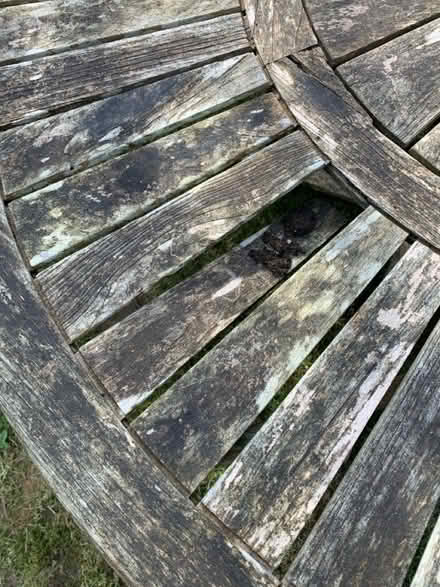 Photo of free Round wooden table and chairs (BN6 8EY) #2