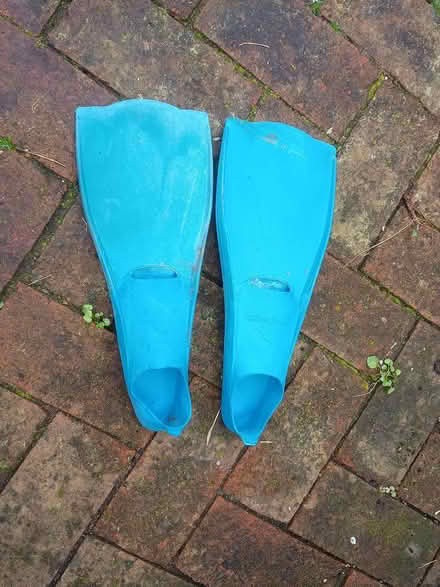 Photo of free Children's flippers size 1 -2 (Lewes (near Prison)) #1