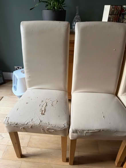 Photo of free Dinning chairs x 6 (Epsom) #3