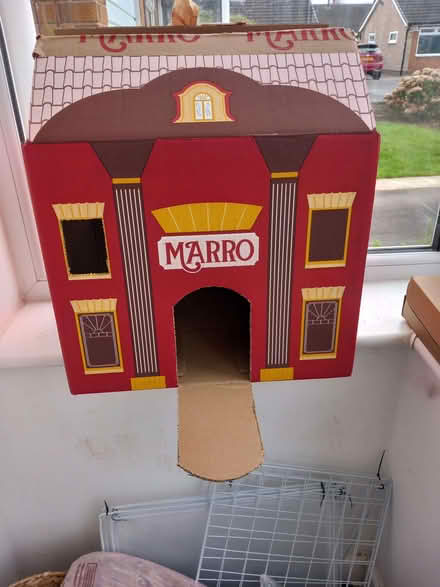 Photo of free Boxes for cats (Aspley NG8) #1