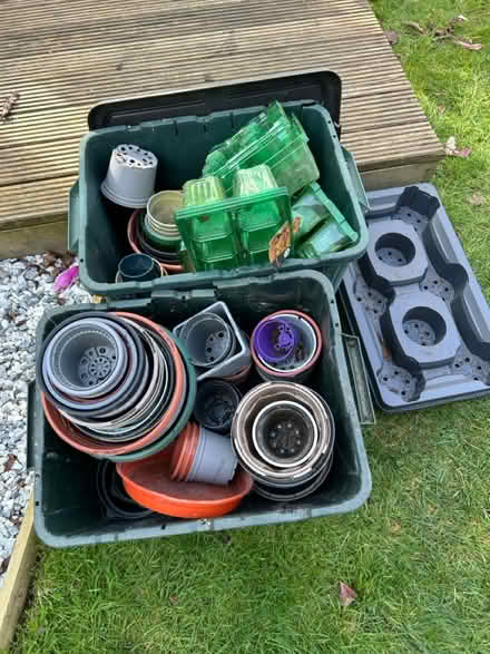 Photo of free Plant pots (BH23) #1