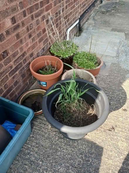 Photo of free Plant pots (Tuffley GL4) #2