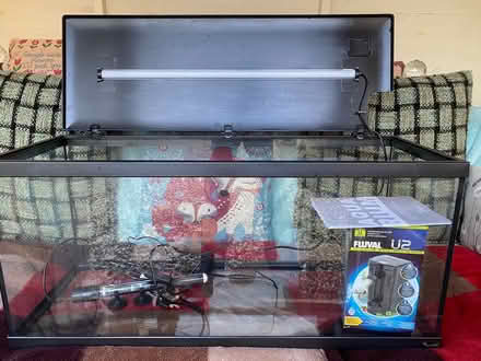 Photo of free Fish aquarium (Stoke on Trent, Fenton) #1