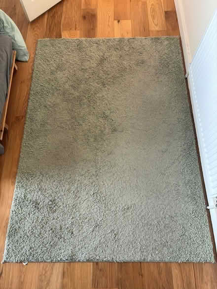 Photo of free 170x120cm washable rug (Marston OX3) #1